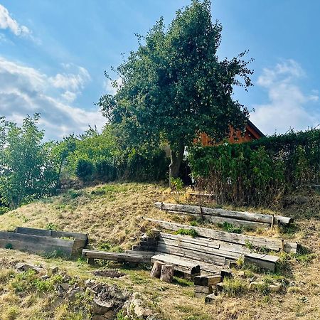 Libling Ruzovy Guest House Banska Stiavnica Exterior photo